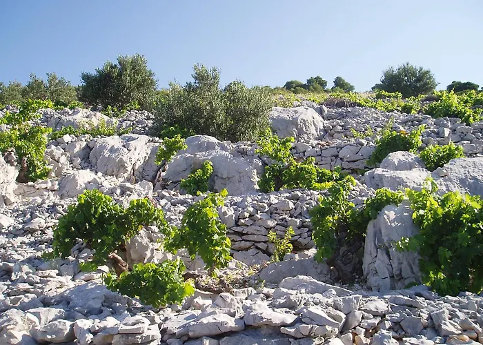 Appartement Propuh *