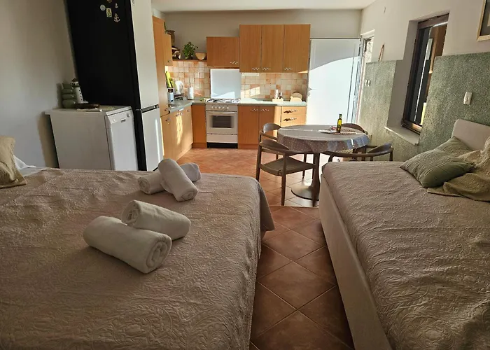 Propuh Apartment Primosten